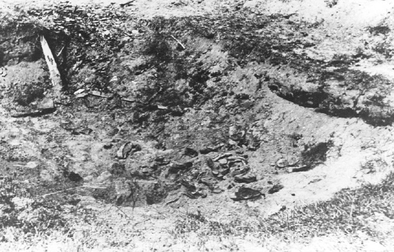 A pit at the Ponary mass extermination site, in which the remains of victims can be seen.